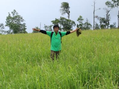 60-ปลูกป่า เขตรักษาพันธ์สัตว์ป่าภูหลวง