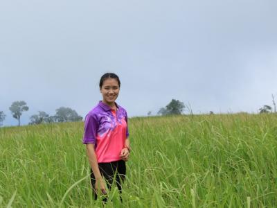 60-ปลูกป่า เขตรักษาพันธ์สัตว์ป่าภูหลวง