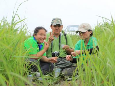 60-ปลูกป่า เขตรักษาพันธ์สัตว์ป่าภูหลวง